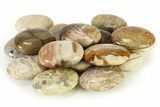 1.7" Petrified Wood Pocket Stones  - Photo 3